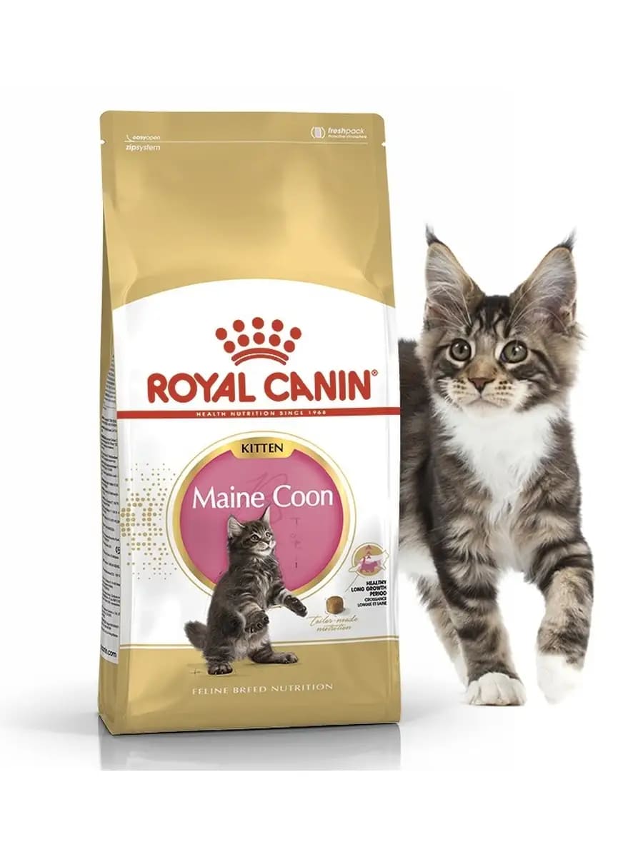 Royal canin Maine Coon Kitten